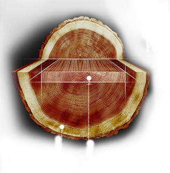 UEDٷ(й)Ψһٷվ